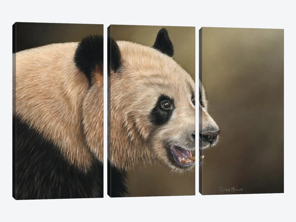Panda by Richard Macwee 3-piece Canvas Wall Art