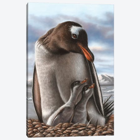 Penguin Canvas Print #RMC39} by Richard Macwee Canvas Art
