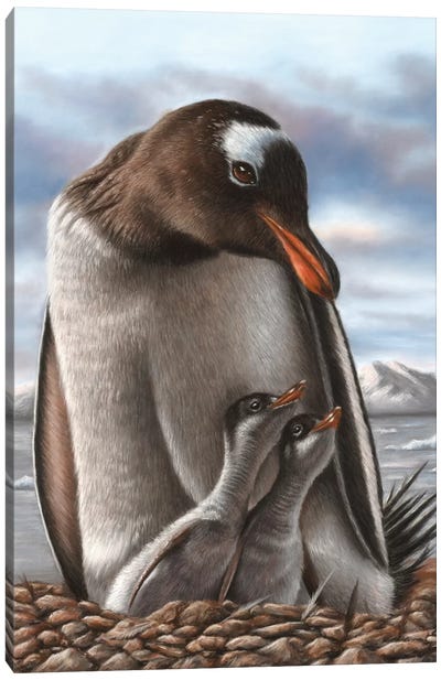 Penguin Canvas Art Print - Richard Macwee