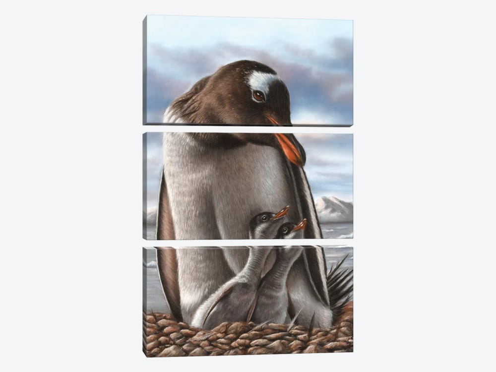 Penguin by Richard Macwee 3-piece Canvas Artwork