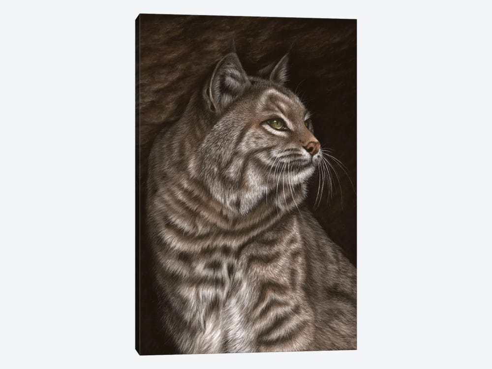 Bobcat by Richard Macwee 1-piece Canvas Art