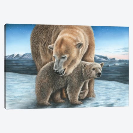 Polar Bear Canvas Print #RMC40} by Richard Macwee Art Print
