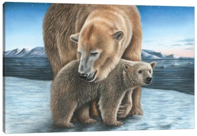 Polar Bear Canvas Art Print - Richard Macwee