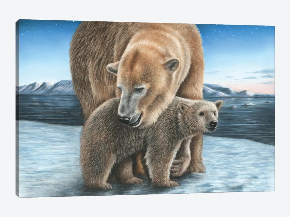 Polar Bear by Richard Macwee 1-piece Canvas Art