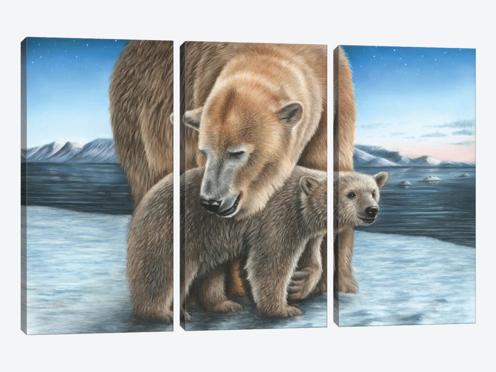 Polar Bear by Richard Macwee 3-piece Canvas Art