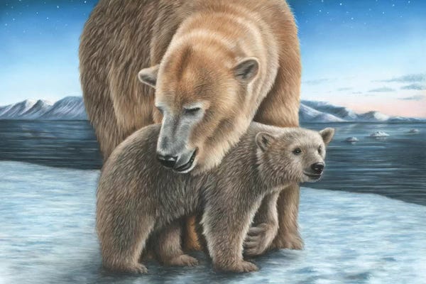 Richard Macwee: Polar Bear by Richard Macwee