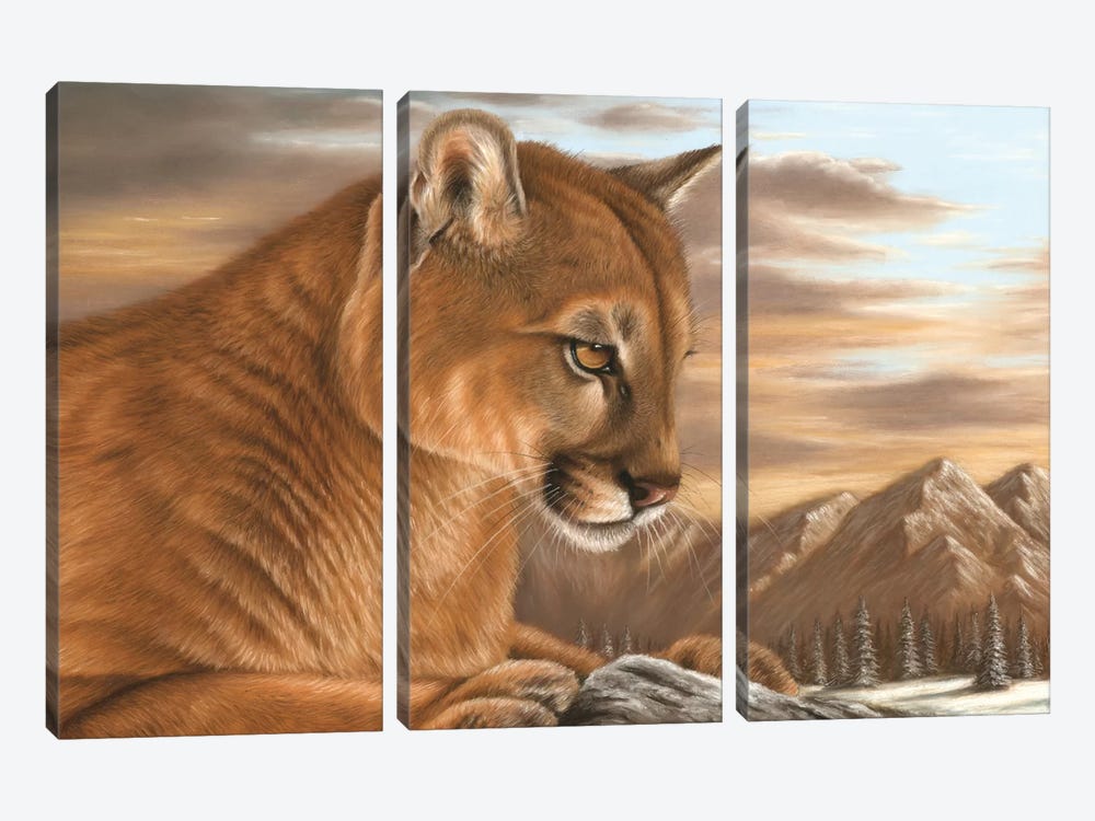 Puma by Richard Macwee 3-piece Canvas Print