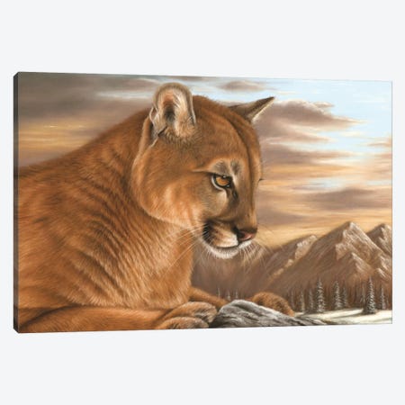 Puma Canvas Print #RMC41} by Richard Macwee Canvas Art Print