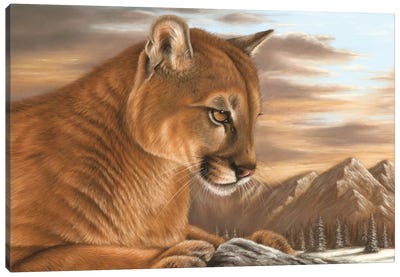 Puma Canvas Art Print - Richard Macwee