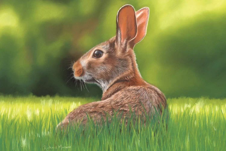 Rabbit by Richard Macwee wall art