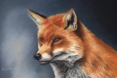 Red Fox by Richard Macwee canvas print