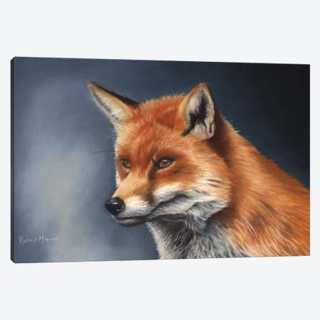 Red Fox Canvas Print #RMC43} by Richard Macwee Canvas Print