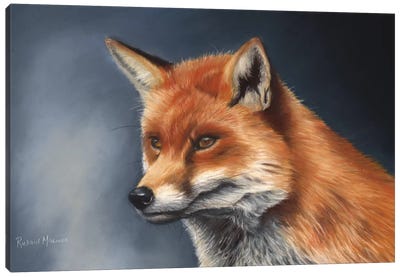 Red Fox Canvas Art Print - Richard Macwee