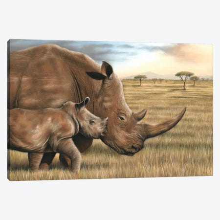 Rhino Canvas Print #RMC45} by Richard Macwee Canvas Wall Art