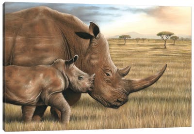 Rhino Canvas Art Print - Richard Macwee