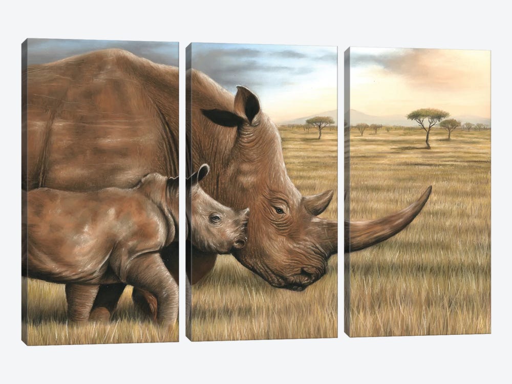 Rhino by Richard Macwee 3-piece Art Print