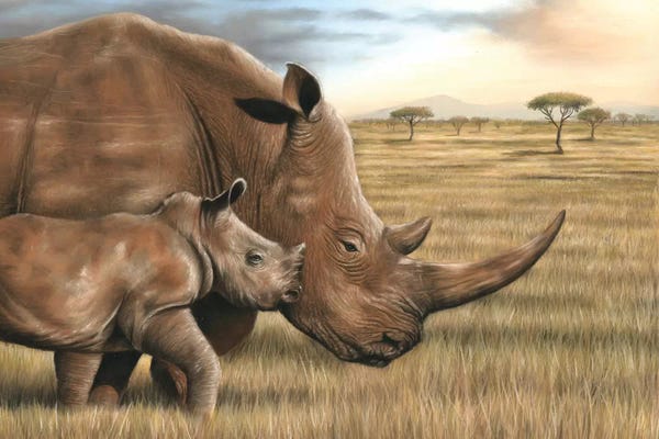 Rhinoceroses: Rhino by Richard Macwee