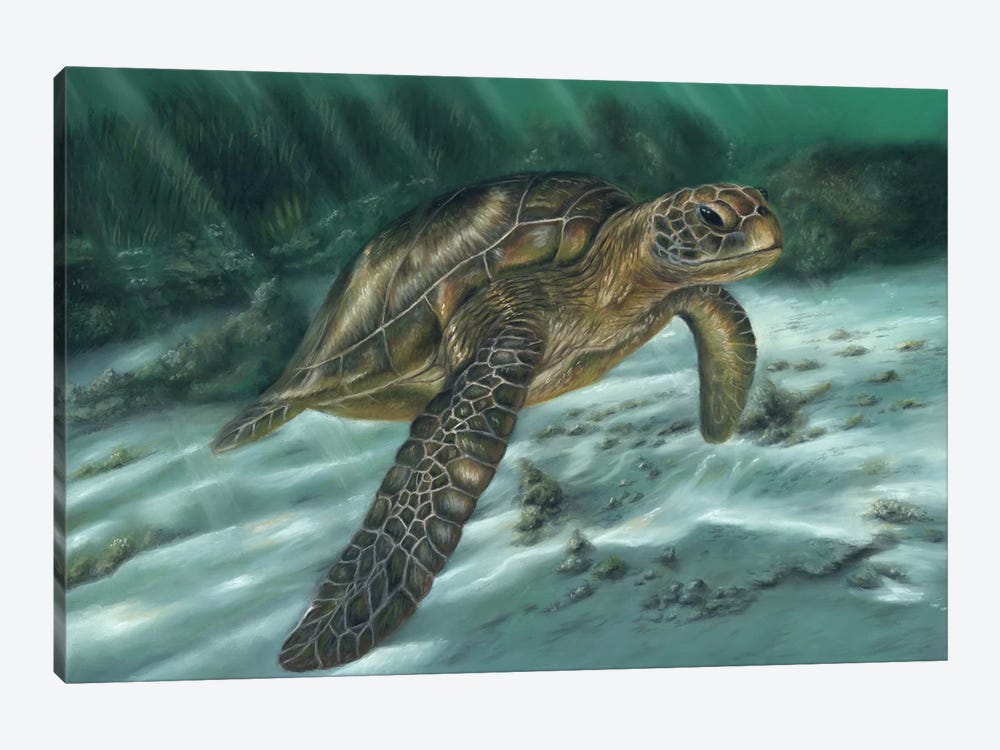 Sea Turtle by Richard Macwee 1-piece Canvas Artwork