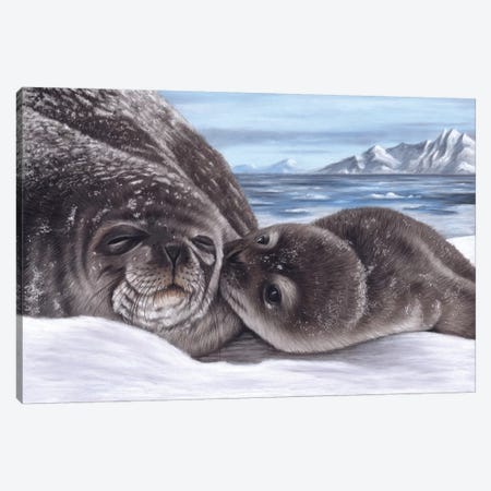 Seal And Pup Canvas Print #RMC47} by Richard Macwee Canvas Wall Art