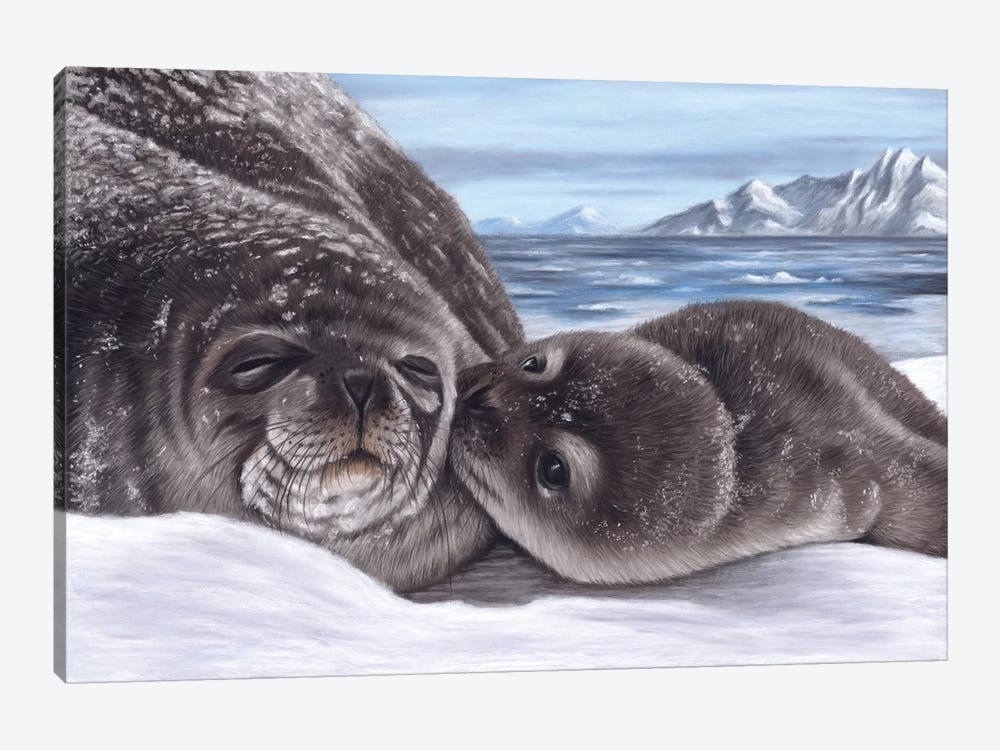 Seal And Pup by Richard Macwee 1-piece Art Print