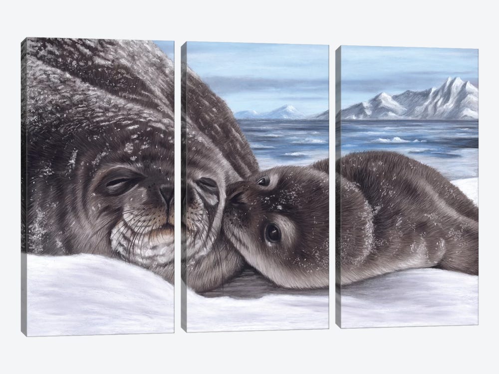 Seal And Pup by Richard Macwee 3-piece Art Print