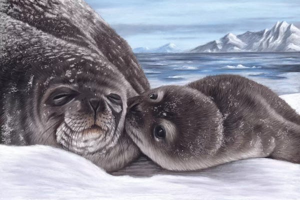 Wildlife Conservation: Seal And Pup by Richard Macwee