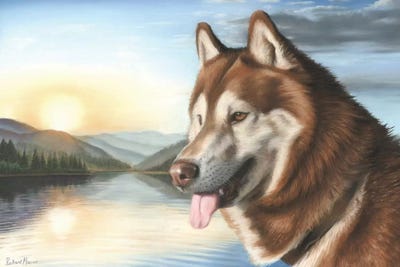 Siberian Husky by Richard Macwee metal wall art