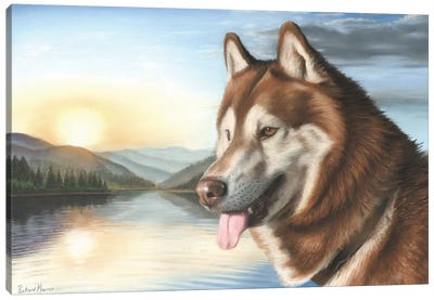 Siberian Husky Canvas Art Print - Richard Macwee