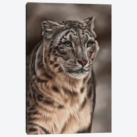 Snow Leopard Canvas Print #RMC51} by Richard Macwee Canvas Art