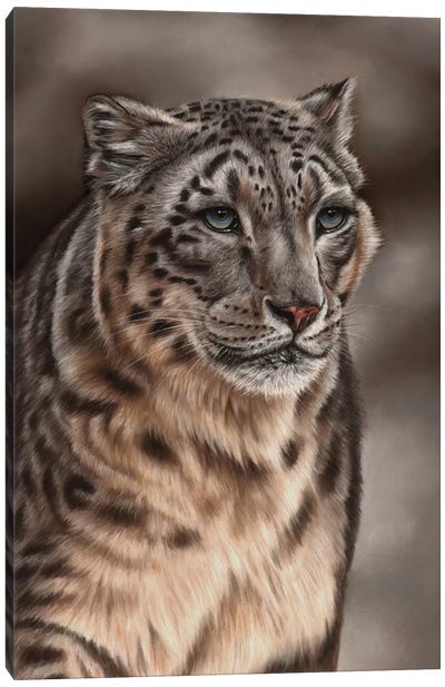 Snow Leopard Canvas Art Print - Richard Macwee