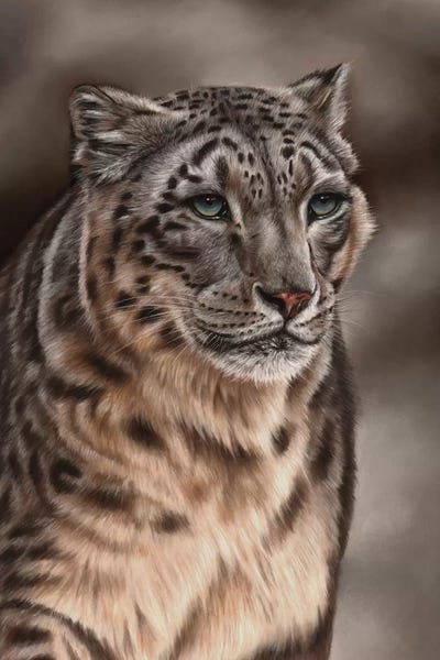Richard Macwee: Snow Leopard by Richard Macwee