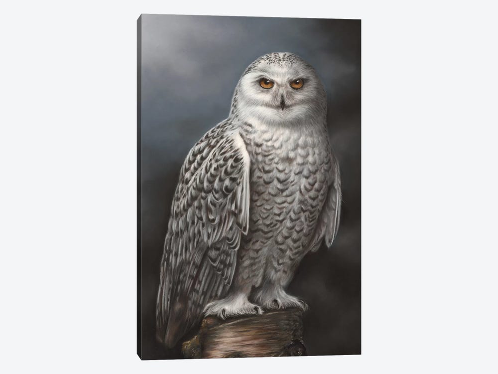Snowy Owl by Richard Macwee 1-piece Canvas Art Print