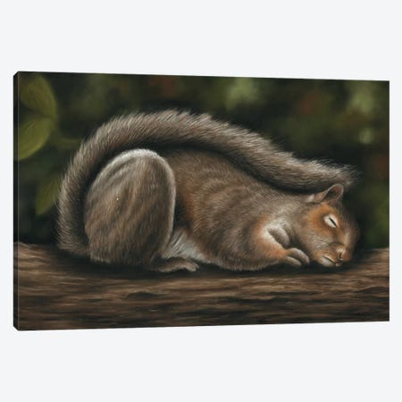 Squirrel Canvas Print #RMC53} by Richard Macwee Canvas Art