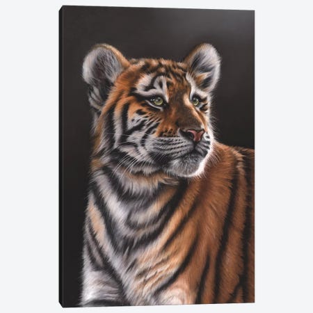Tiger Cub Canvas Print #RMC54} by Richard Macwee Canvas Print