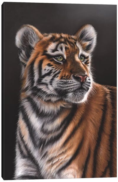 Tiger Cub Canvas Art Print - Richard Macwee