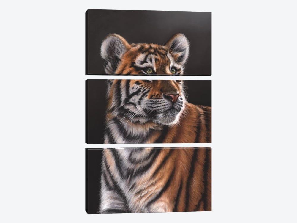 Tiger Cub by Richard Macwee 3-piece Canvas Print