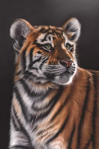 Richard Macwee: Tiger Cub by Richard Macwee