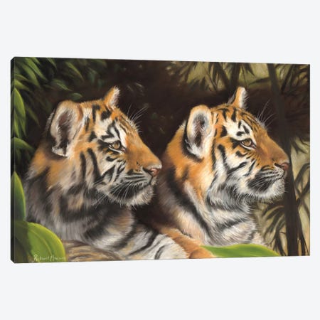 Tiger Cubs Canvas Print #RMC55} by Richard Macwee Art Print