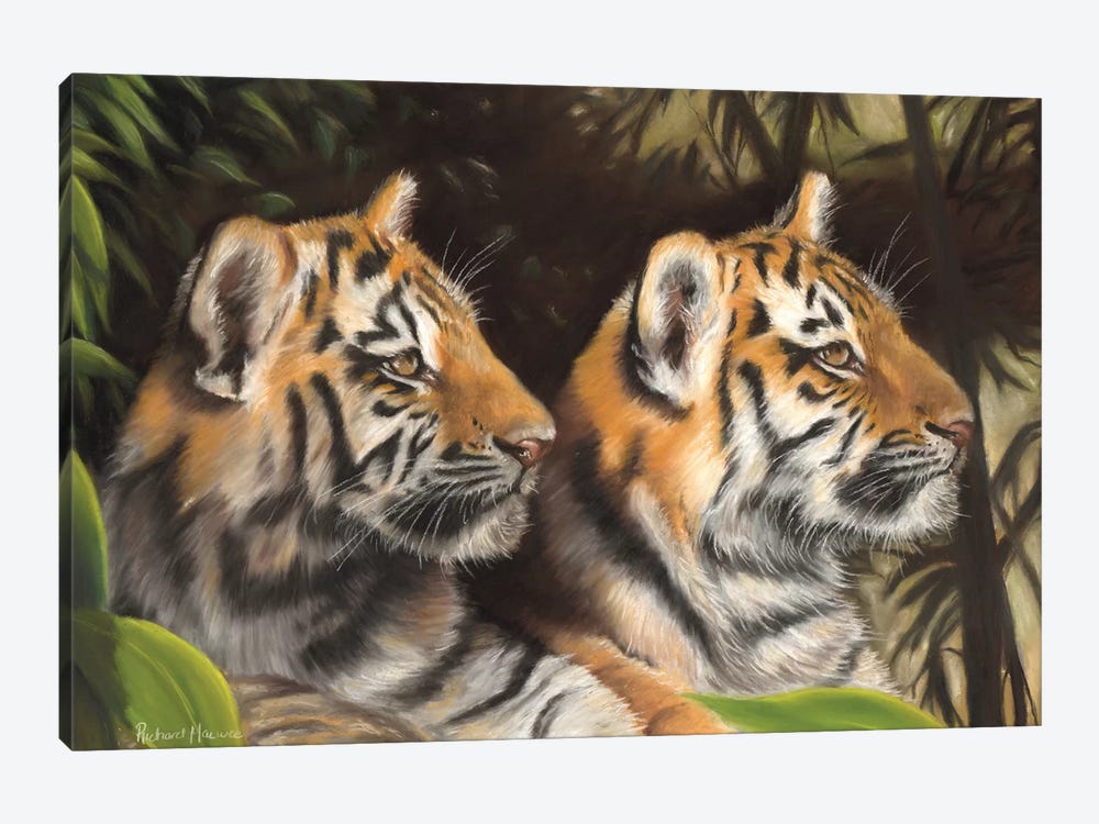 Tiger Cubs by Richard Macwee 1-piece Canvas Wall Art
