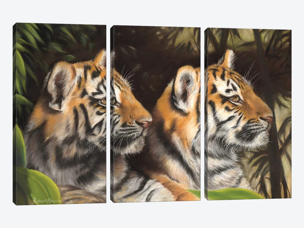 Tiger Cubs by Richard Macwee 3-piece Canvas Artwork
