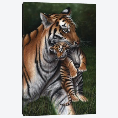 Tiger With Cub Canvas Print #RMC57} by Richard Macwee Canvas Art Print