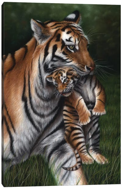 Tiger With Cub Canvas Art Print - Richard Macwee