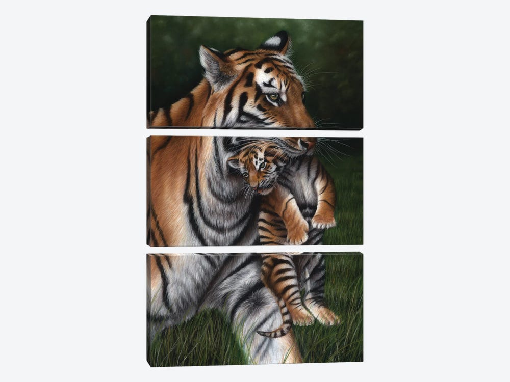 Tiger With Cub by Richard Macwee 3-piece Canvas Artwork