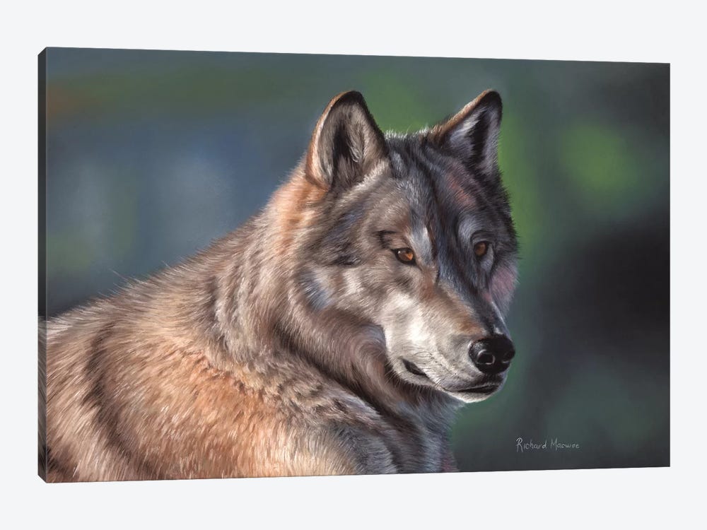 Tundra Wolf by Richard Macwee 1-piece Canvas Print