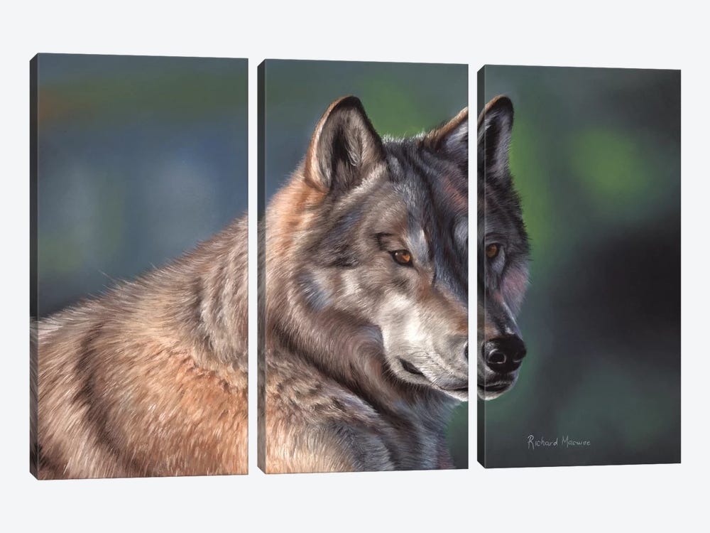 Tundra Wolf by Richard Macwee 3-piece Art Print