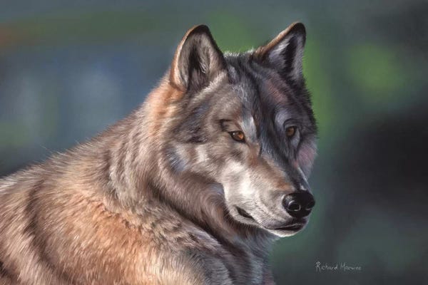 Richard Macwee: Tundra Wolf by Richard Macwee