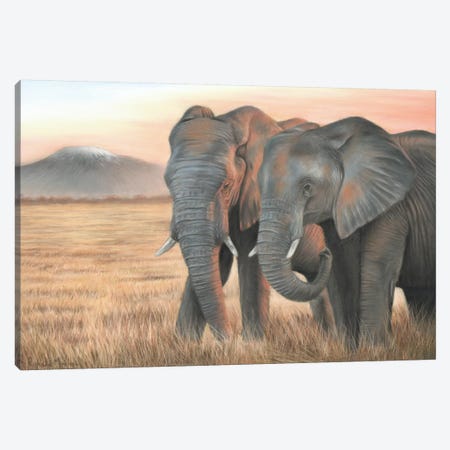 Two Elephants Canvas Print #RMC59} by Richard Macwee Canvas Artwork