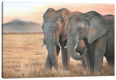 Two Elephants Canvas Art Print - Richard Macwee
