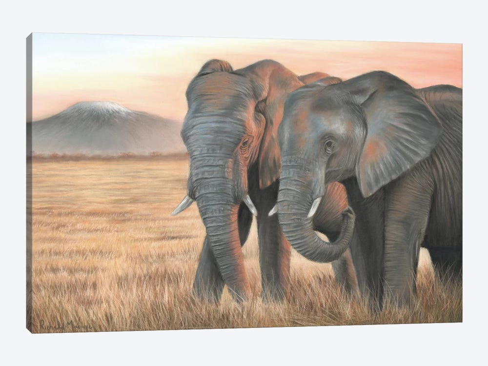 Two Elephants by Richard Macwee 1-piece Canvas Wall Art