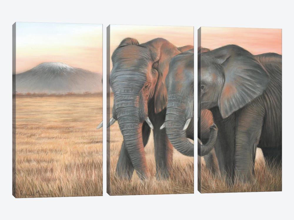 Two Elephants by Richard Macwee 3-piece Canvas Artwork